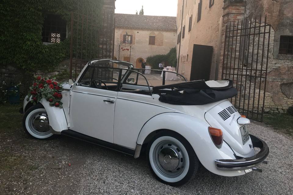 Maggiolone Cabrio 