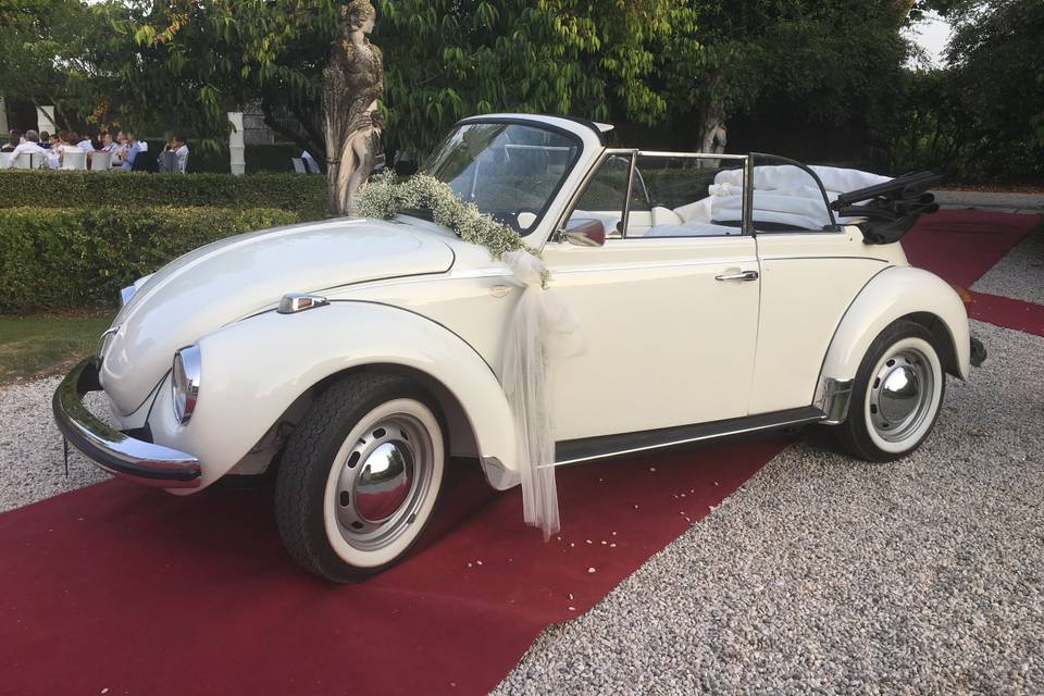 Maggiolone Cabrio 