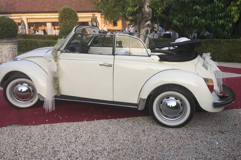 Maggiolone Cabrio 