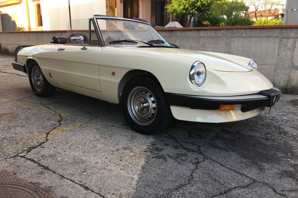 Alfa Romeo sede di Rovigo