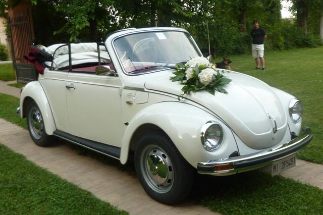 Auto Vintage & More