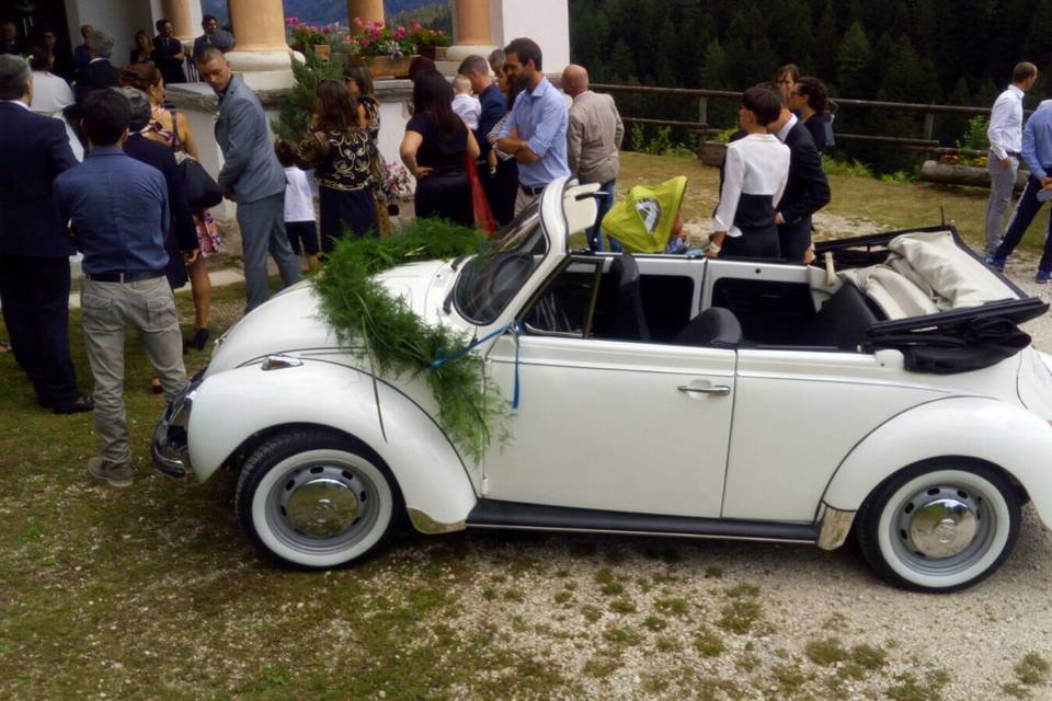 Maggiolone Cabrio 