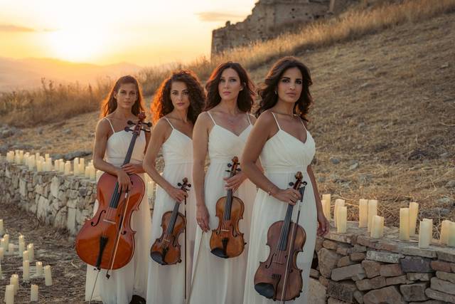 Alter Echo String Quartet