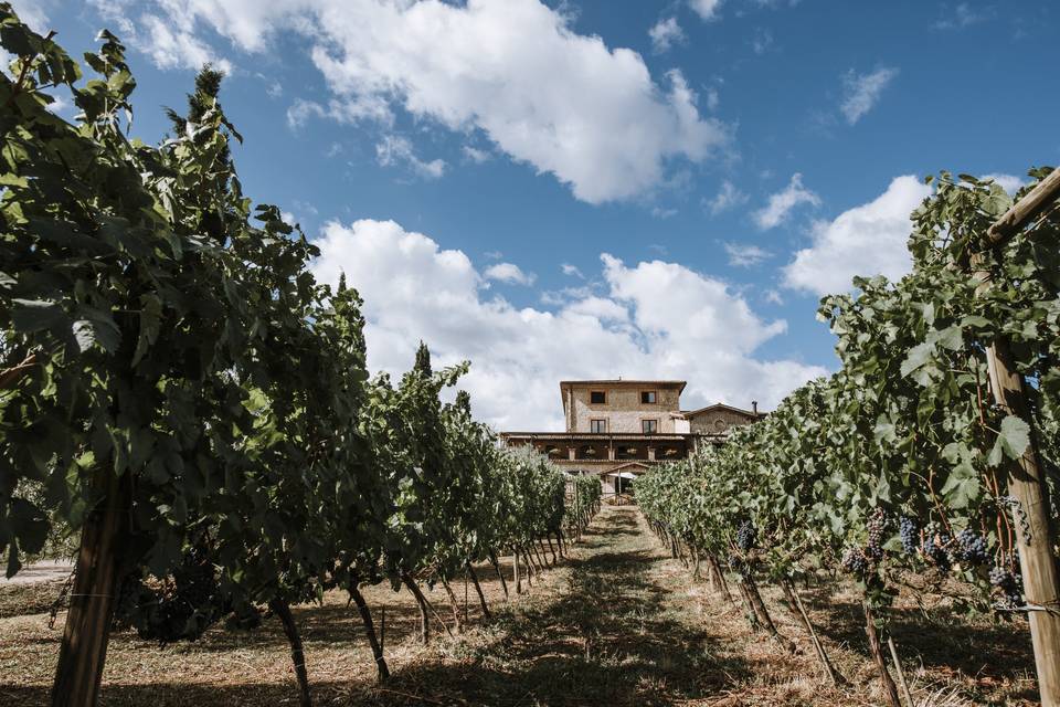 Vista del casale tra i vigneti