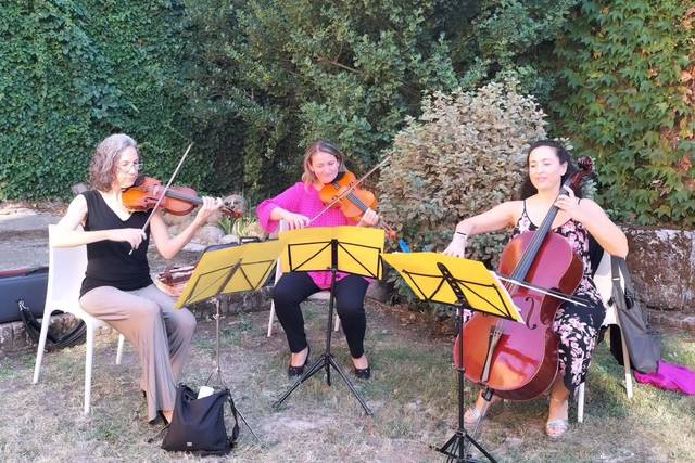 MerryStrings Ensemble