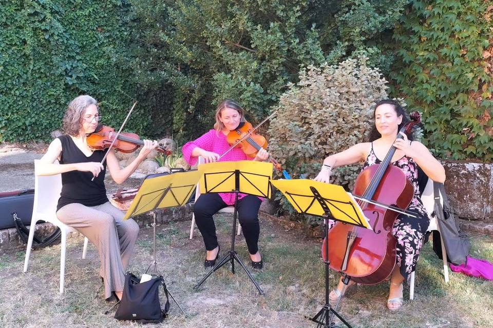 MerryStrings Ensemble