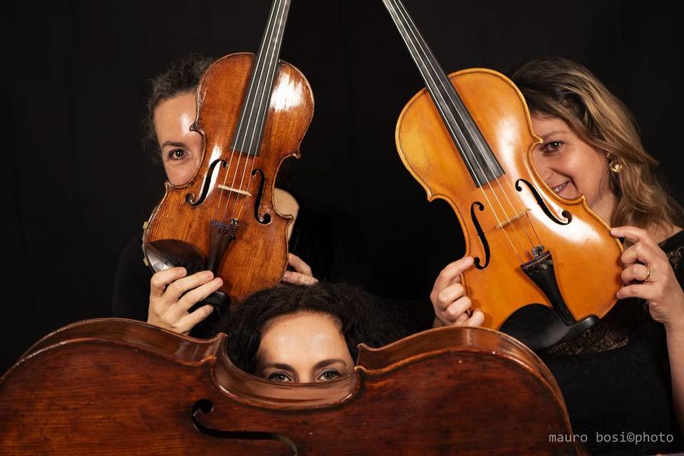 MerryStrings Ensemble