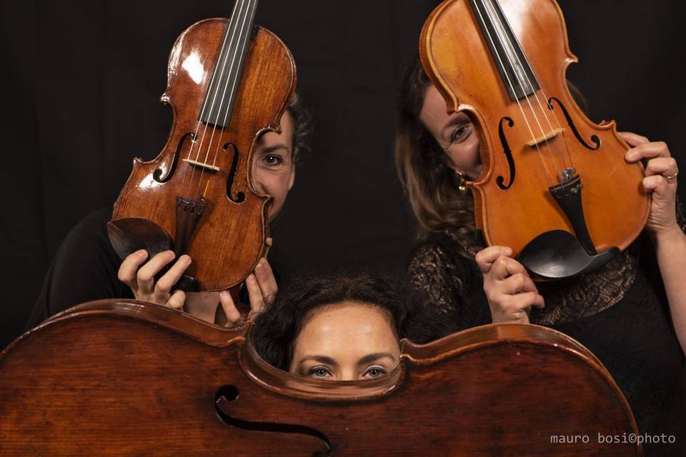 MerryStrings Ensemble