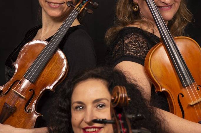 MerryStrings Ensemble