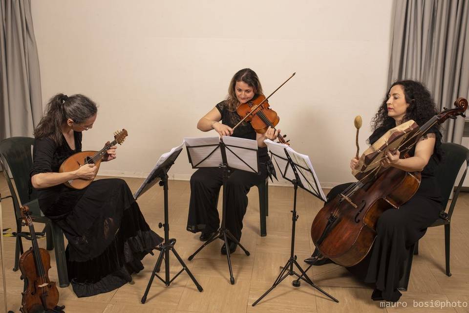 MerryStrings Ensemble