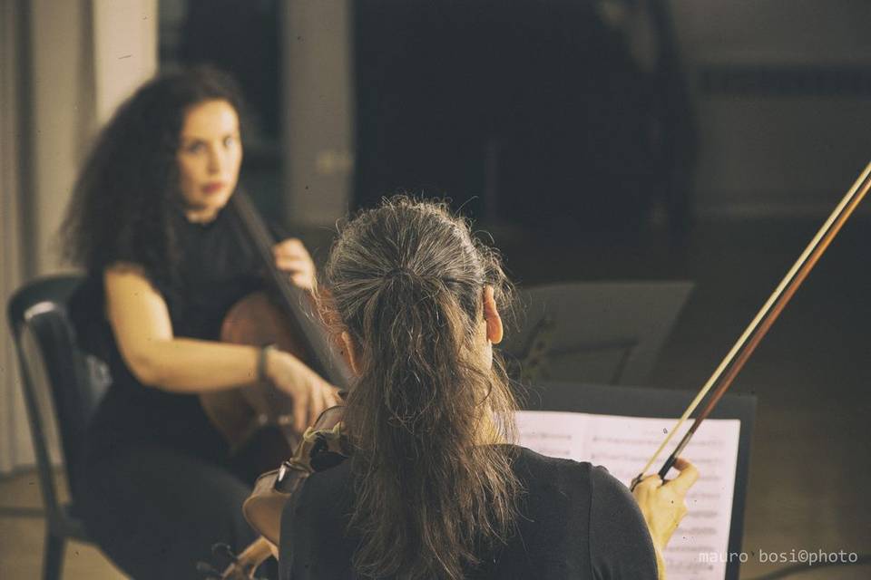 MerryStrings Ensemble