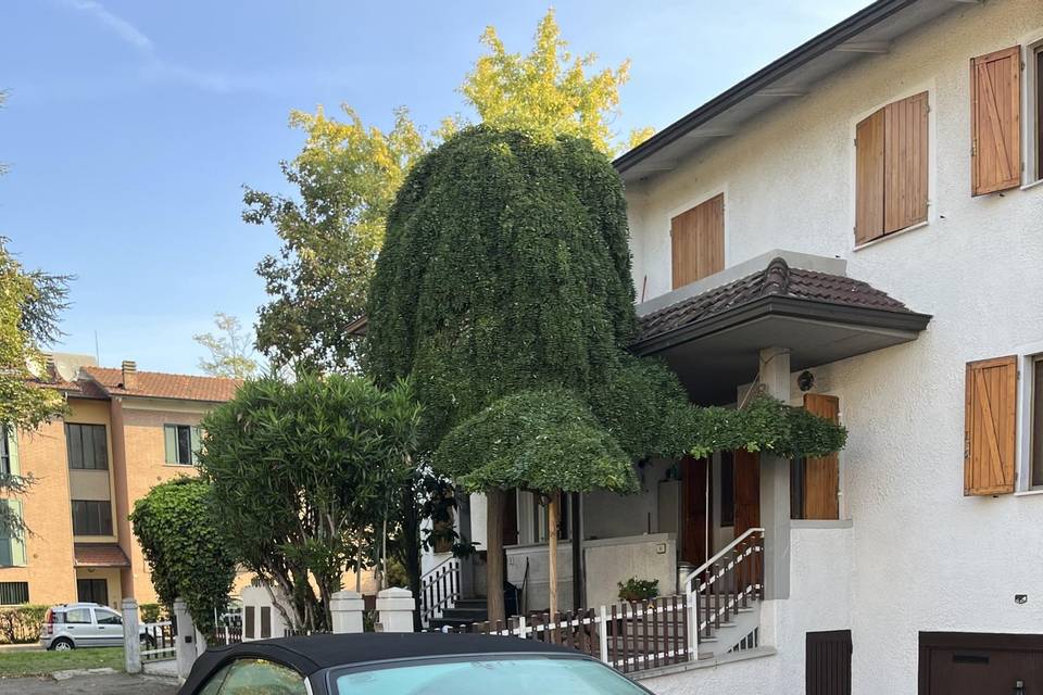 Auto sposi