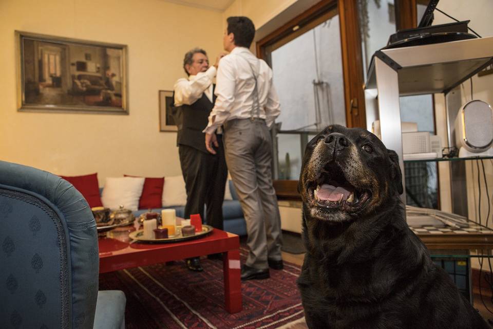 Reportage esterni