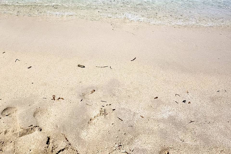 Vacanze mare in Sardegna