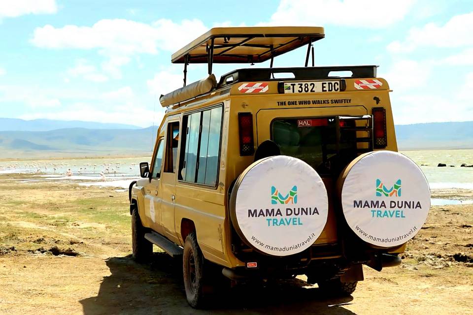 Safari in Africa