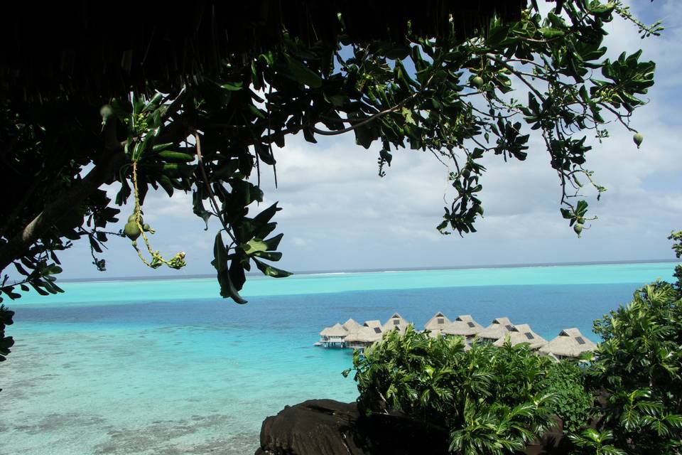Polinesia - Bora Bora - Una spiaggia