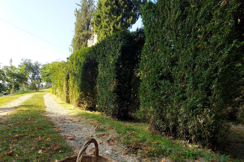 Strada esterna fuori dal giard