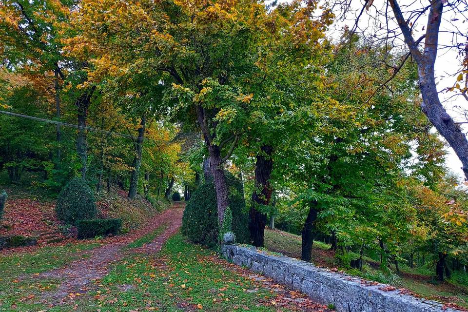 Strada di arrivo