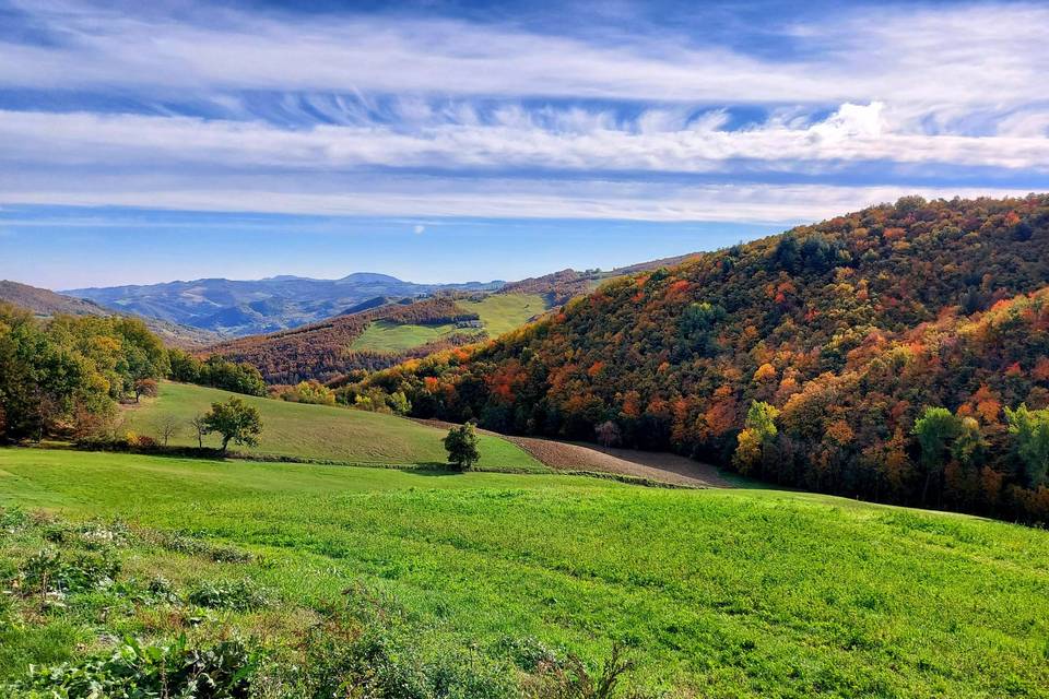 Vista che circonda la villa