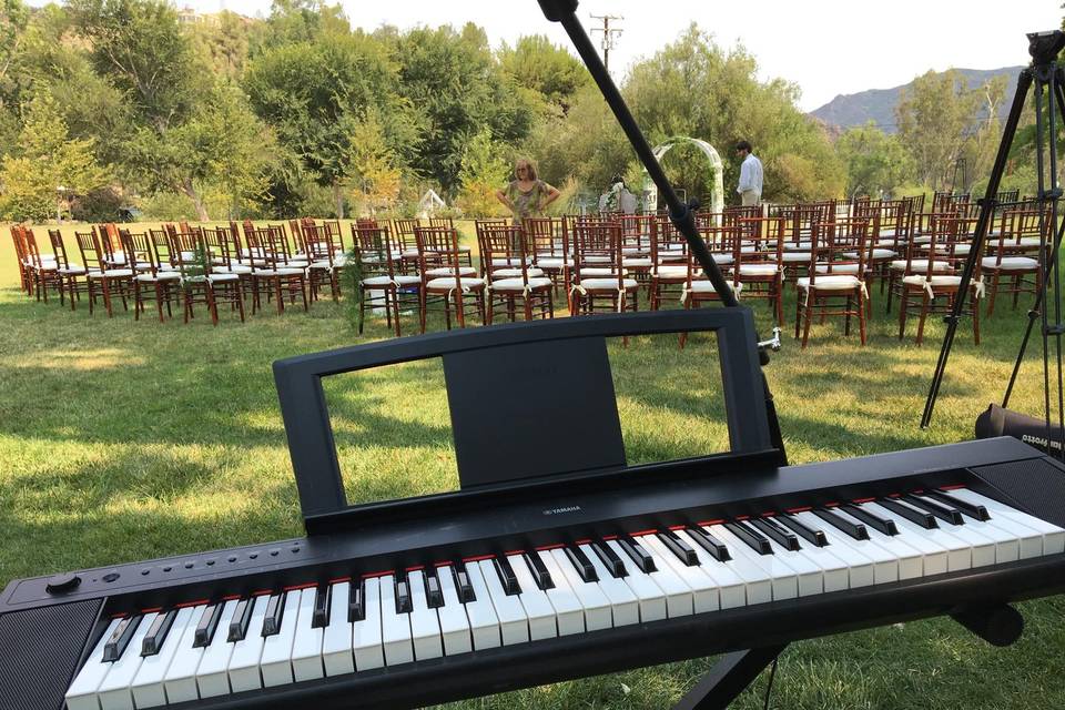 Pianista a Treviglio