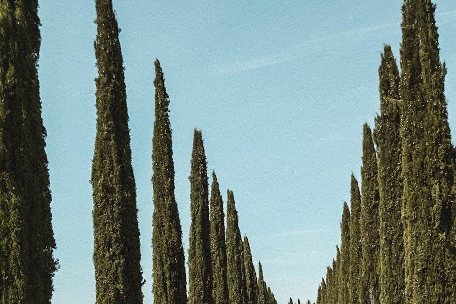 Icona italiana per il tuo sì