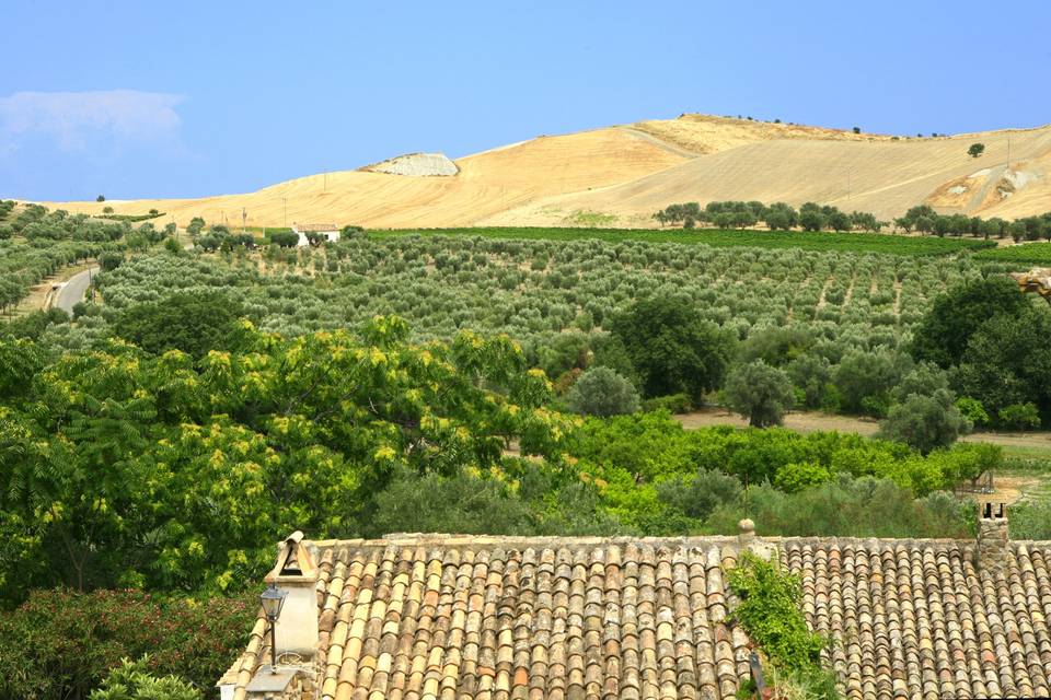 La vista dal casolare