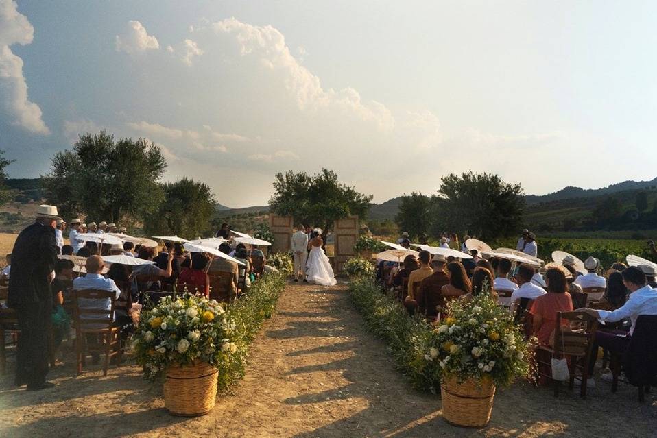 Matrimonio in vigna