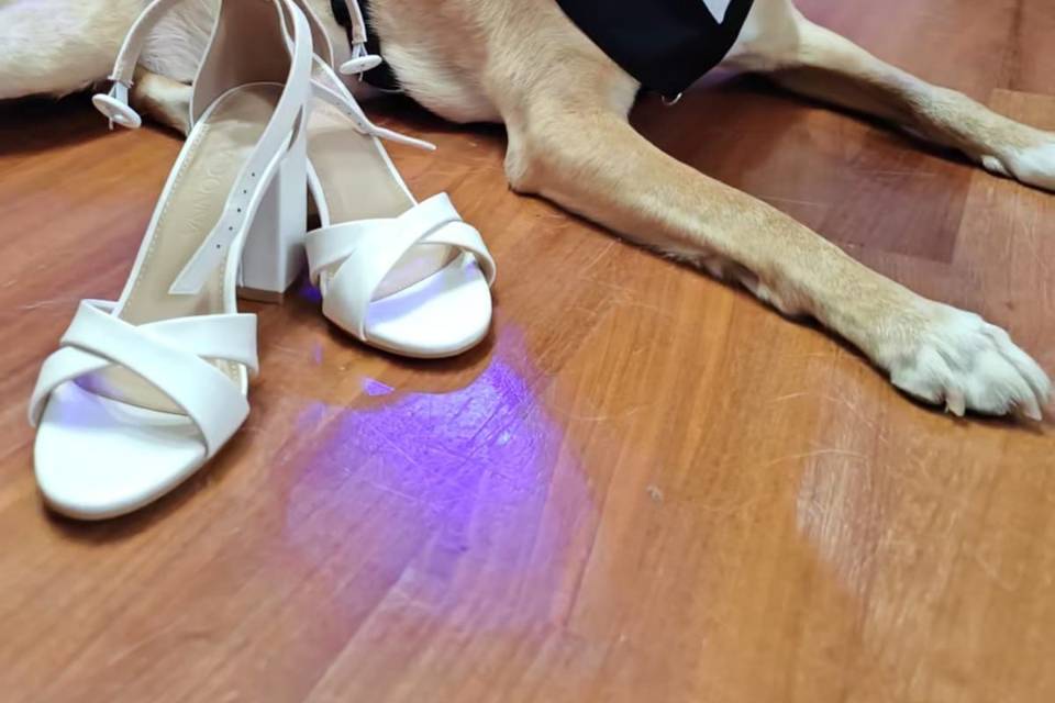 Guardiano delle scarpe