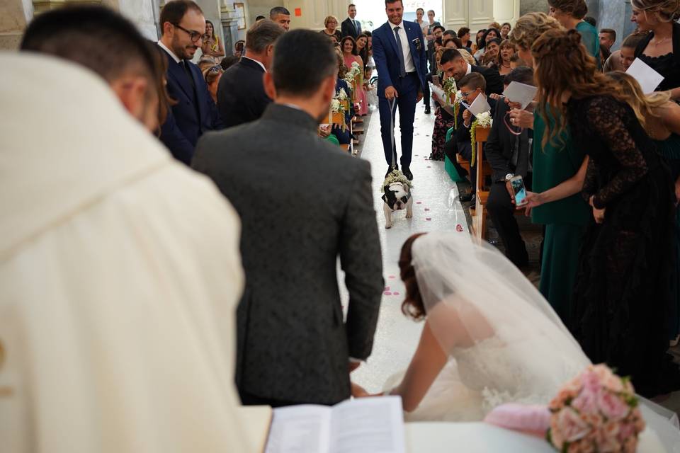 Il paggetto