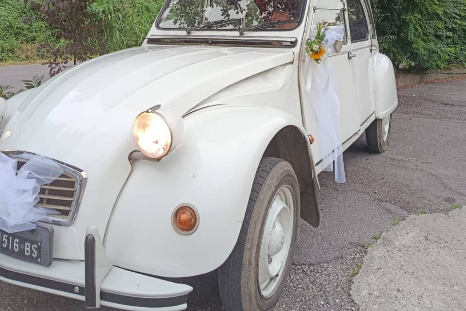 Margot: semplice ed elegante