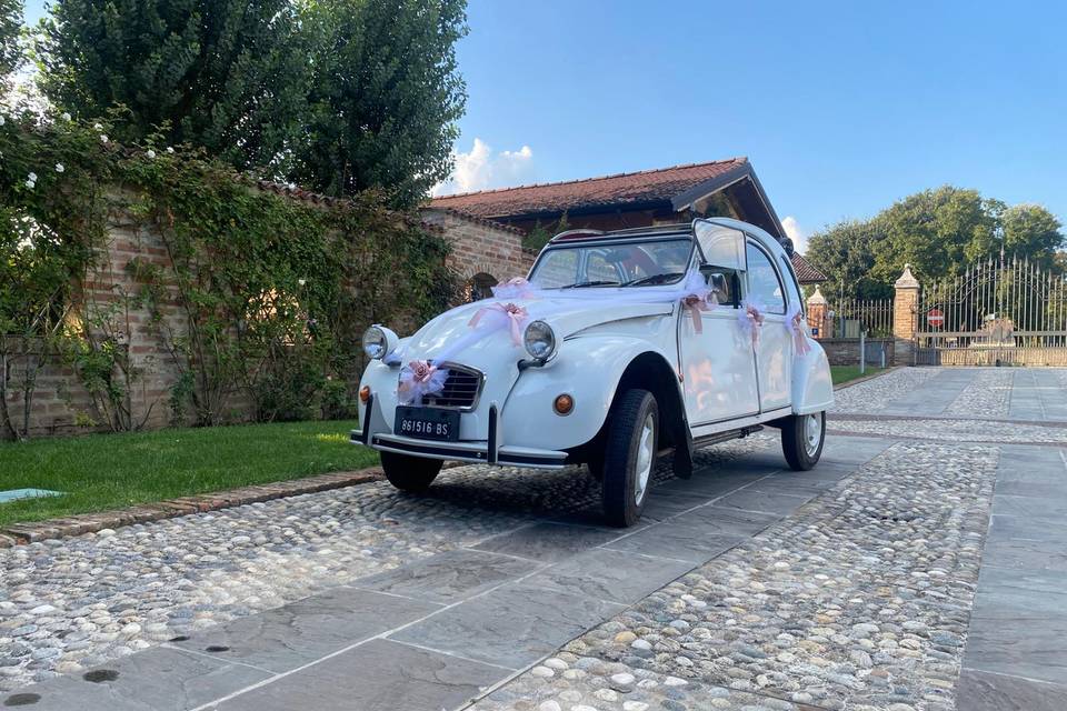 Margot: semplice ed elegante