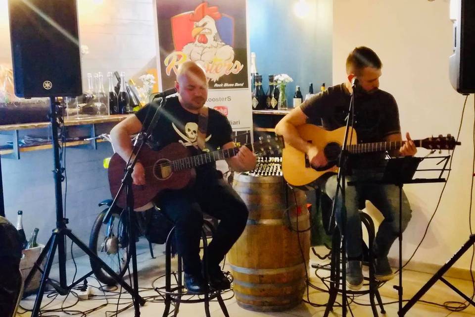 Acoustic duo