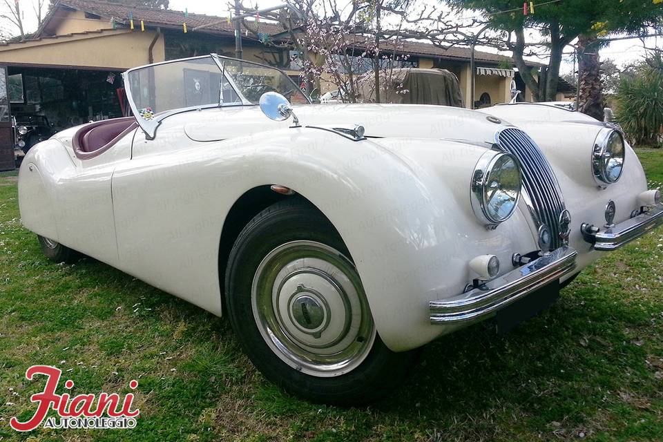 Jaguar XK 120 cabrio (2 posti)