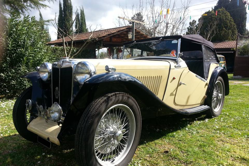 Mg tc - 1948  (2 posti)