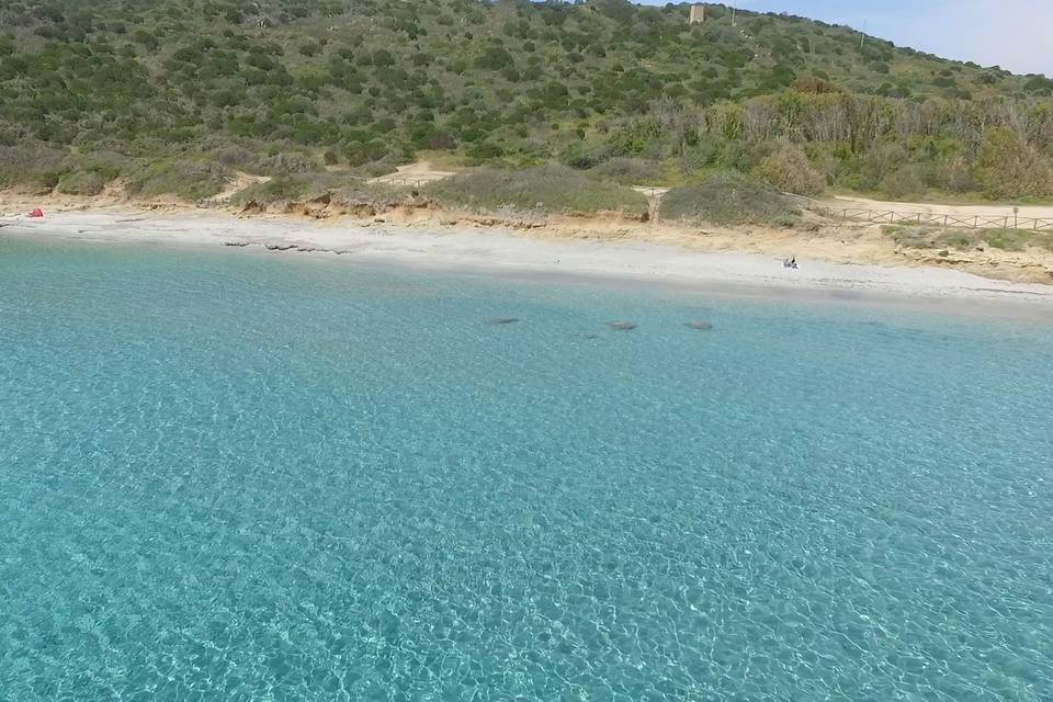 Wedding Day - Photo Drone