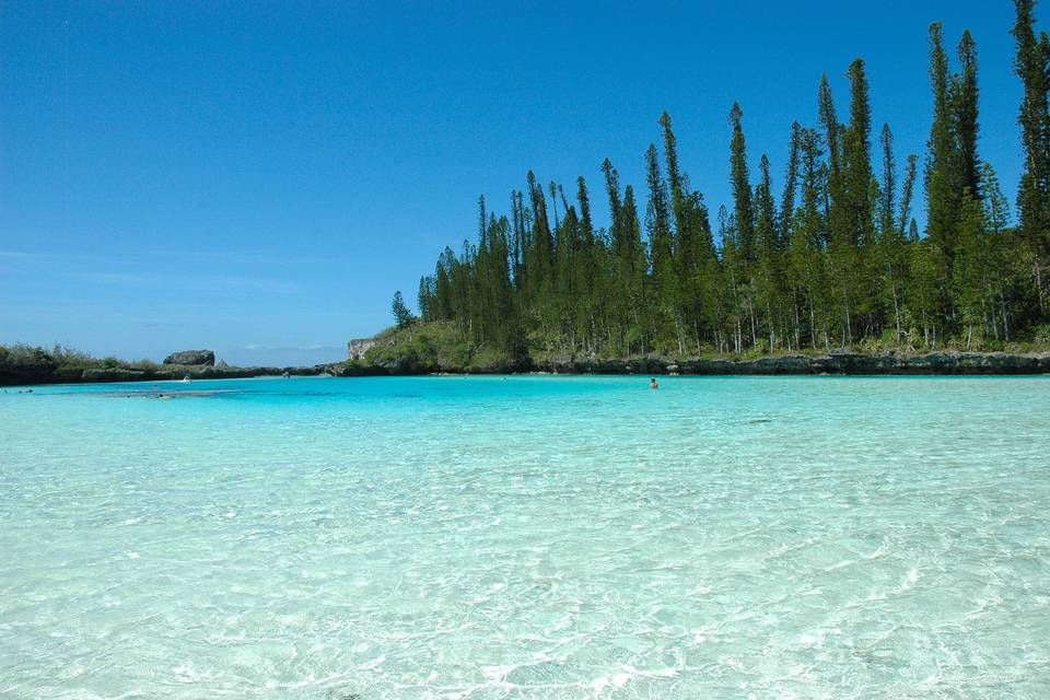 Nuova Caledonia-Isola dei Pini