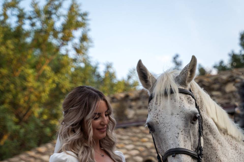 Wedding Day