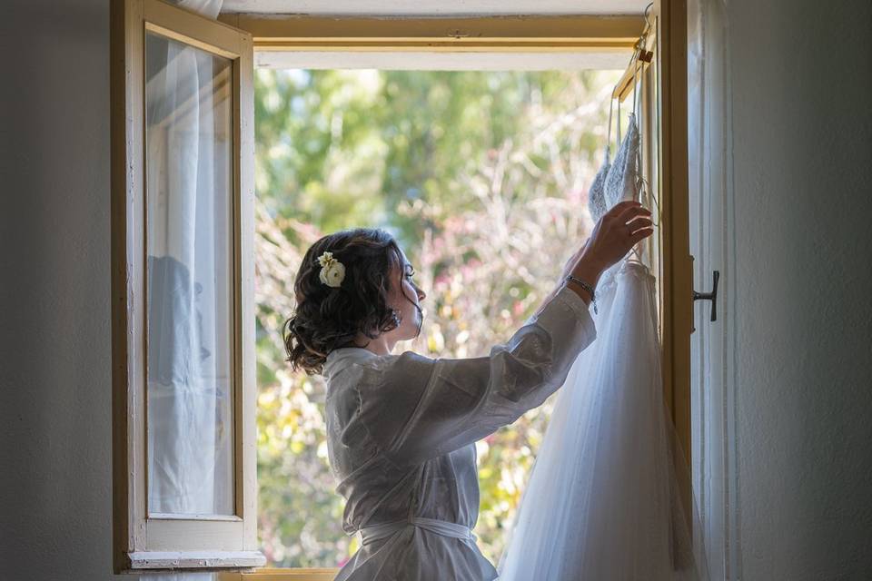 Wedding Day