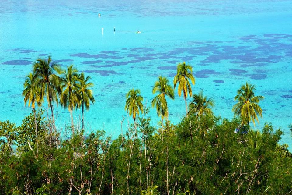 Polinesia Francese - Moorea