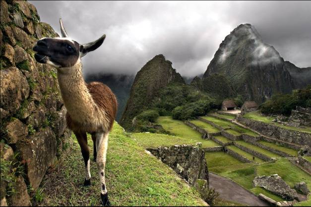 Peru - Sud America