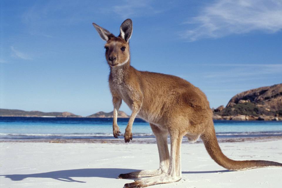 Australia