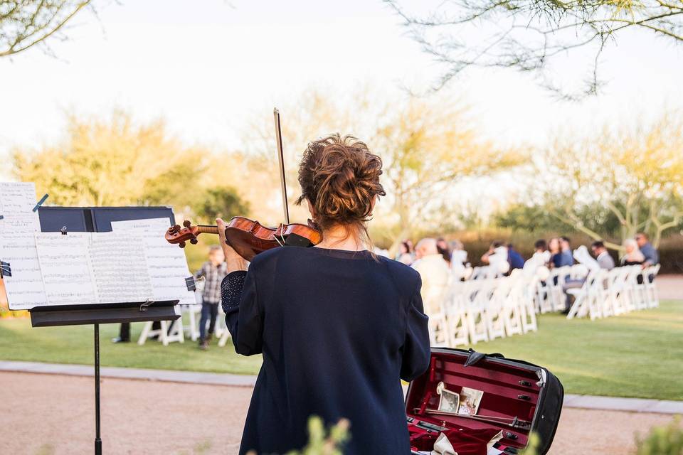 Violinista