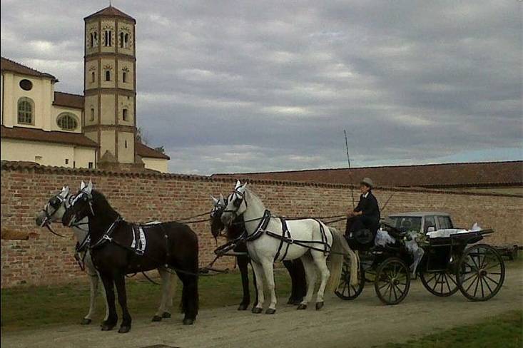 Carrozza d'epoca con quattro cavalli