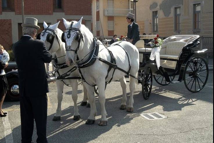 Carrozza Vittoria