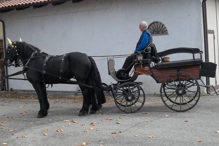 Carrozza moderna break