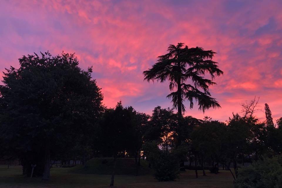 Tramonto al parco