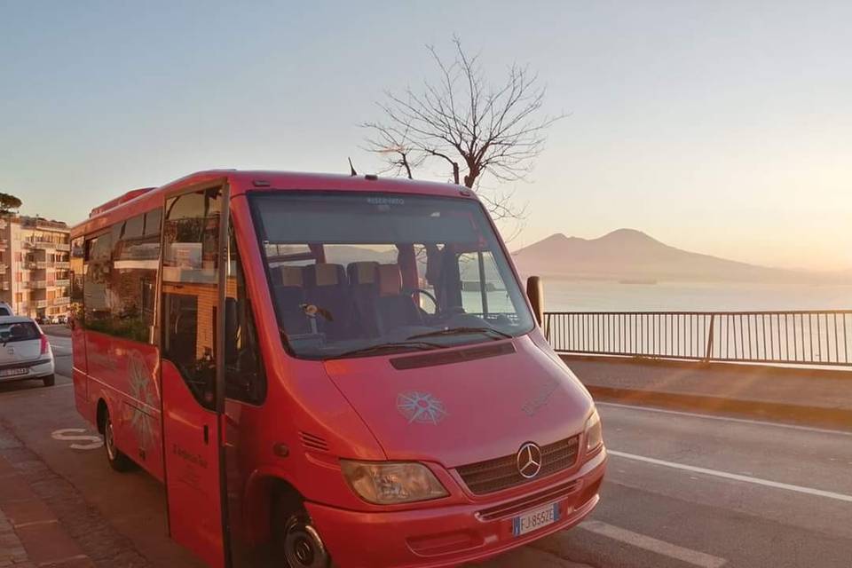 D'Ambrosio Tour