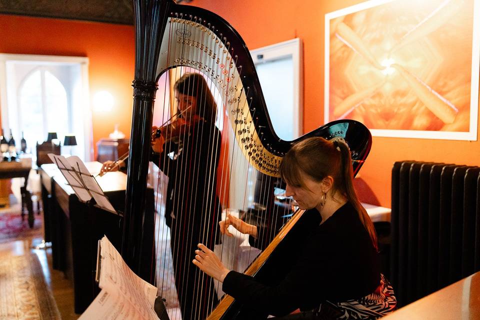 Musica live, sala rossa