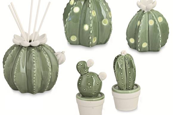 Bomboniere cactus