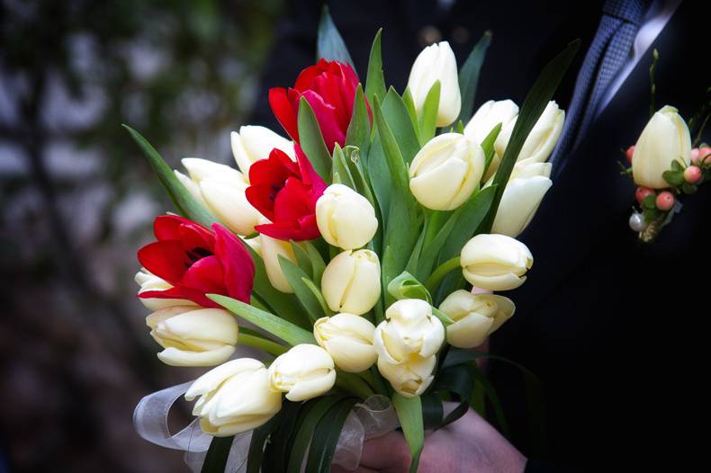 Bouquet tulipani